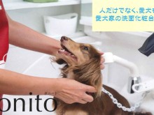 ペットケアに役立つ洗面台